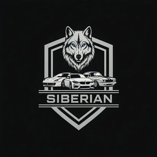 Imagen del coche